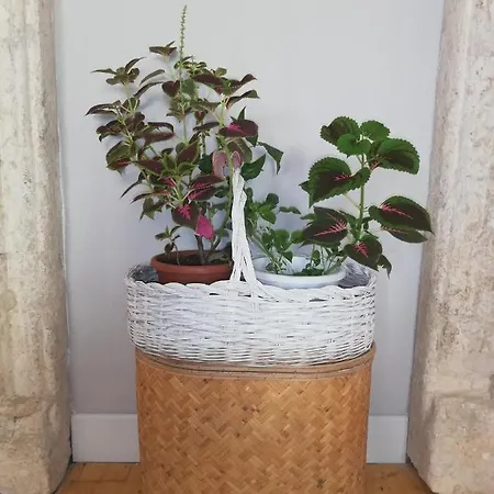 Appartement Bubibi *