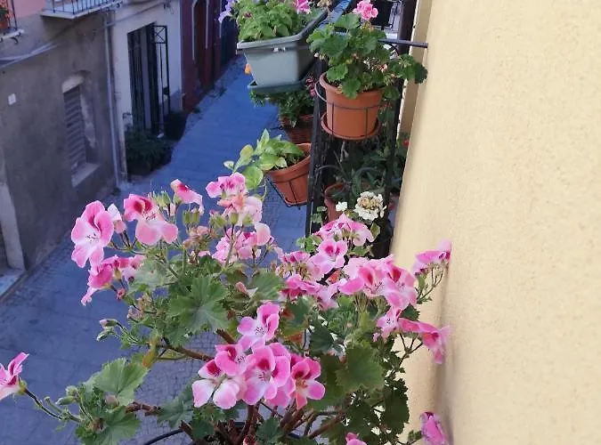 Bubibi アパート カリアリ